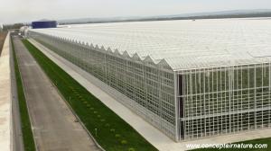 FERME HORTICOLE �FERME LEGUMICOLE-SERE STICLA