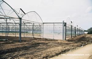 SERE pentru capsuni CONCEPT AIRNATURE -FERME Horticole si Legumicole