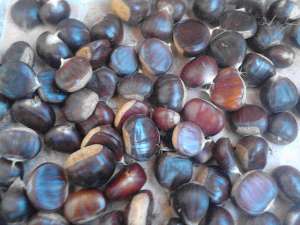 vand castane pe categorii