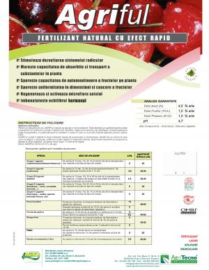 Fertilizant Agriful 1L