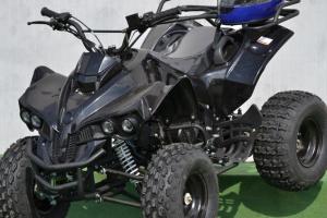 Vand Atv Renegade 2013 AllRoad