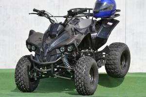 Vand Atv Renegade 2013 AllRoad