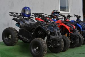 Atv 2x4 Grizzly 125 pentru copii si adulti