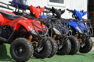 Atv 2x4 Nou Bmw cu accesorii cadou