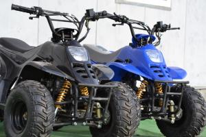 Atv 125 Bigfoot AllRoad