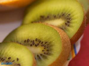 FRUCTE GRECIA DE SEZON la pret de producator