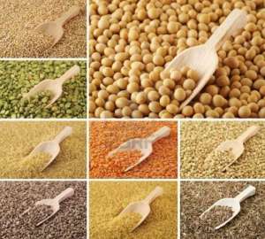 VINDEM SEMINTE RARE (LEGUME,  FLORI,  CONDIMENTE..)!!!