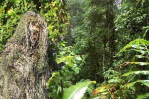 Costum camuflaj sniper ghillie