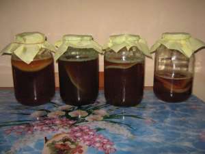 Cultura ceai Kombucha