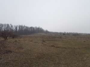 Pf vand teren 2300 mp in Baia Mare