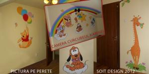 PICTURA PE PERETE