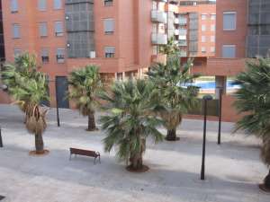particular, apartament spania