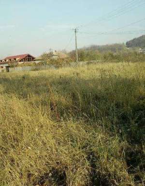Terenuri Budesti 820 si 600 mp