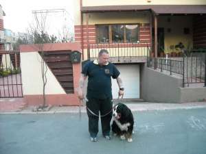 Cel mai ieftin si mai bun dresaj canin!