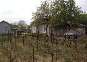 Casa si teren 744 mp Zimnicea,  central - piata