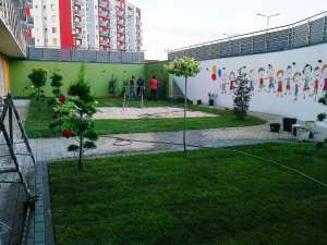 Plante de la A la Z in toata tara. Preturi minime. Oferte