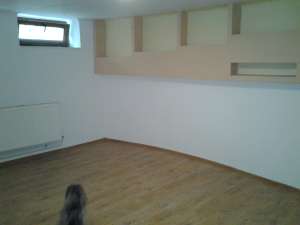Inchiriez apartament 7 camere in vila (parter+demisol) ultracentral Bulevardul Independentei