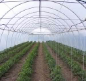 solarii pt legume si flori ieftine profesionale
