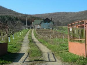 Casa in gilau
