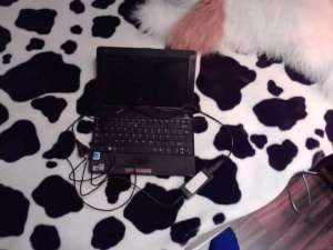 Asus Eee PC 1001PX