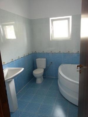 Vila Clincenil Olteni 2