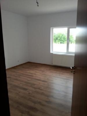 Vila Clincenil Olteni 2