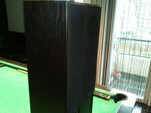 boxe SUPERIOR 100 W made in germany