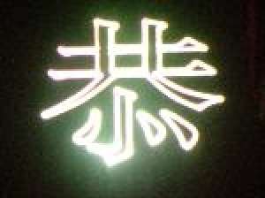 Proiectie LASER -  Logo,    mesaje.