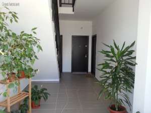 Apartamente noi Ghencea cu rate la dezvoltator