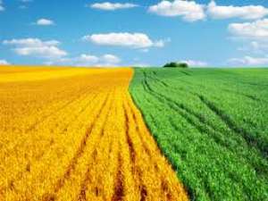 Cumparam Teren Agricol Timis si Arad