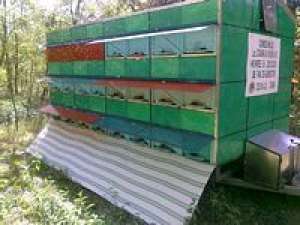 UTILAJ APICOL