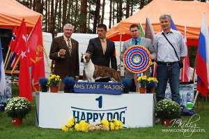 Frizerie Canina Ofera Pregatire @ Prezentare Caini in expozitii