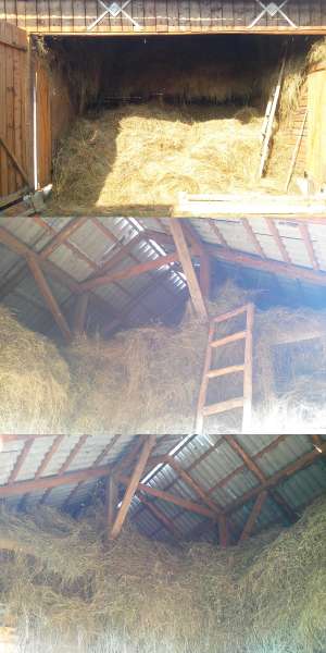 Casa,   gradina si teren extravilan