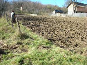 Vand teren intravilan 2000 mp (Sat Olteni)