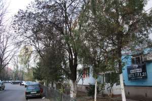 50.900 Euro â Str. Mizil - Trapezului. Ap 3 cam. decom