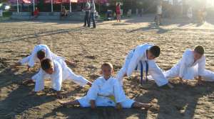 CURSURI  KARATE