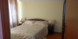 Apartament 1 camera,   mobilat,   utilat si finisat