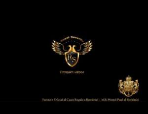 SISTEME DE SUPRAVEGHERE VIDEO