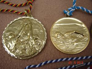 Set 6 medalii de colectie din bronz masiv (M1)