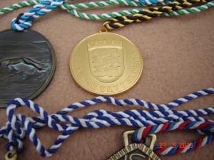 Set 6 medalii din bronz masiv de colectie (M2)