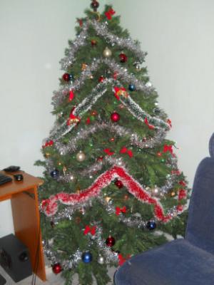 vand brazi artificiali,   mos craciun,   ornamente luminoase spoturi