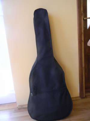 Chitara acustica Golden Ton Western