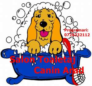 Frizerie Canina Happy Dog Arad