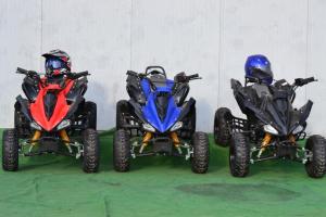 Atv Sherpa 125