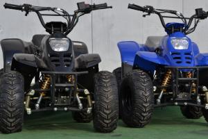 Atv Streaker 2x4 2013