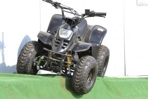 Atv Streaker 2x4 2013