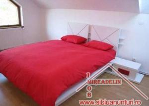 INCHIRIEZ CASA 4 CAMERE,   D+P+M,   ZONA TREI STEJARI 180mp
