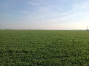 Vand teren arabil 10 ha compacte Buzau