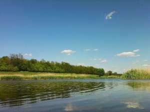 Balta de vanzare,    14 hectare,    jud Giurgiu
