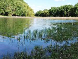 Balta de vanzare,    14 hectare,    jud Giurgiu